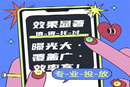 百度竞价推广经典案例解读